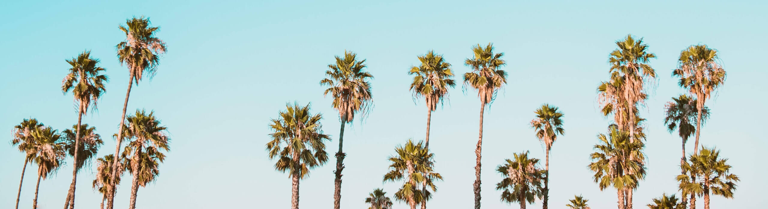 Portland Food and Places